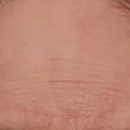 fine lines fine lines